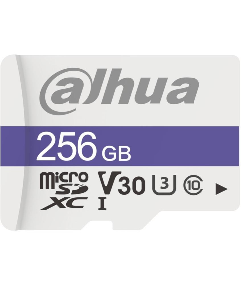 Karta pamięci 256GB DAHUA TF-C100/256GB