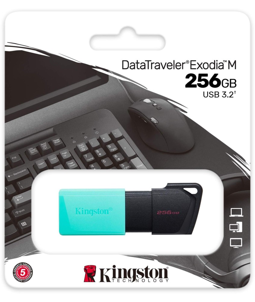 Pendrive Kingston Data Traveler Exodia M 256GB USB3.2 Gen1