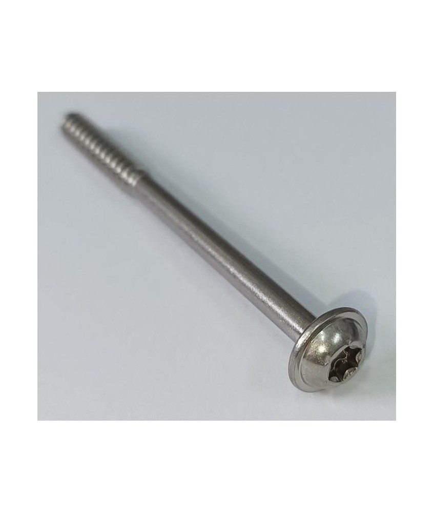 Wkręt do tworzywa TORX T30 6x80 do PB074-76 CORAB M1071