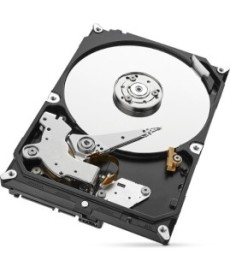 Dysk HDD Seagate SkyHawk ST1000VX013 1TB