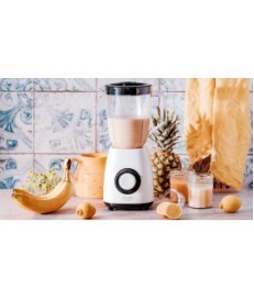 Adler AD 4085 Blender kielichowy 1,5L