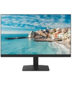 Monitor HikVision DS-D5022FN-C