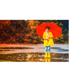 BLEBOX wind&rain sensor - CZUJNIK WIATRU I DESZCZU